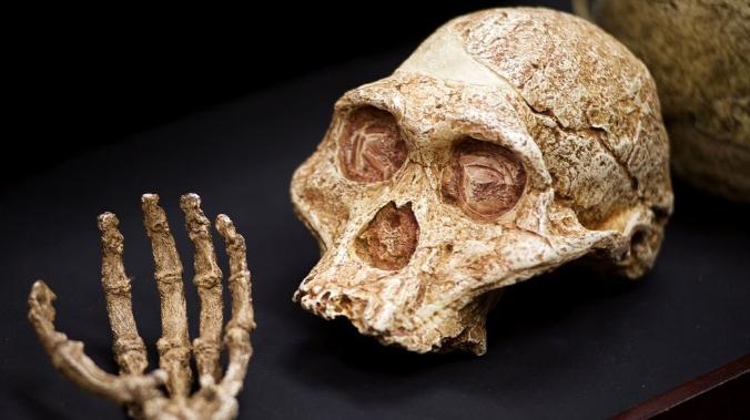 В Индонезии открыли новый вид древнего человека