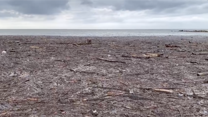 Непогода на Кубани принесла ветки и мусор в море 