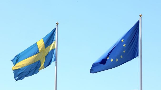 Киеву могут передать шведские истребители вместо американских