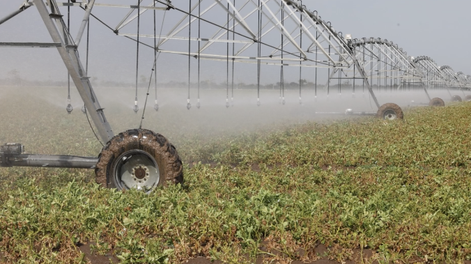 Более 31 млн м³ воды направят на орошение в Крыму