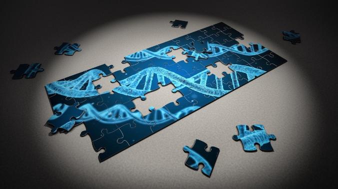 Геном человека полностью расшифрован