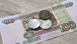 Самозанятые получат выплаты по больничным листам