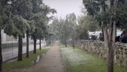 25 февраля в Севастополе ожидается мокрый снег 