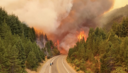 Юг Аргентины охватили мощные лесные пожары