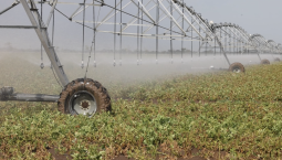 Более 31 млн м³ воды направят на орошение в Крыму