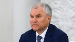 Володин: Германия мечтает об истощении России 