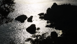 7 украинских дронов сбили над Чёрным морем ночью