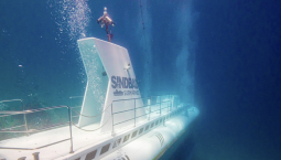 Батискаф с туристами затонул у побережья Египта