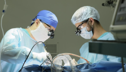 Аксёнов: нехватка медработников актуальна для Крыма