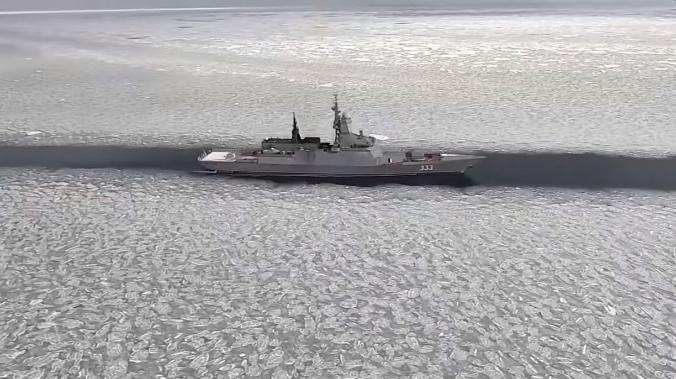 Минобороны Японии: в проливе Лаперуза замечены российские подлодки и эсминцы