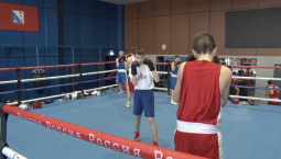Боксёры провели первую тренировку в ФОК «Спартак»