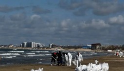 40 водолазов, усиленный контроль в море и космос: как Кубань борется с выбросом мазута