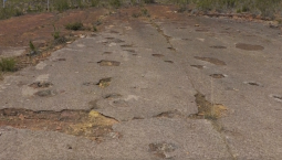 В Боливии учёные нашли 18 000 следов динозавров