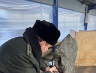 В Петербурге пресекли вывоз метеорита весом 2,5 тонн