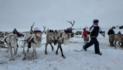 На Таймыре кочевники отметили День оленевода