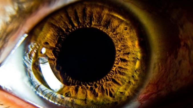 Роговицу глаза человека напечатали на 3D-принтере