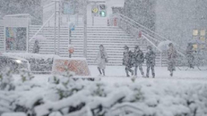 Жертвами снежной бури в Японии стали 17 человек