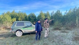 В Севастополе усилили охрану лесов перед Новым годом