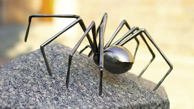 Некроботы: из мертвых пауков сделали механизированные захваты