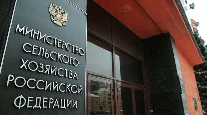 Самозанятые граждане смогут получать льготные кредиты