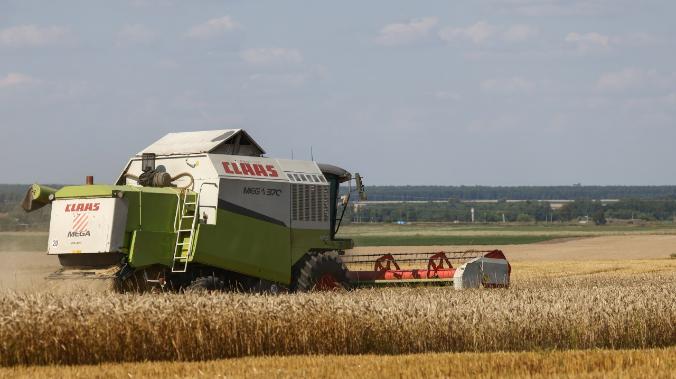 В России прогнозируют рекордный урожай зерновых в 145 млн тонн