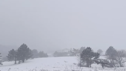 До 15 апреля в горах Крыма сохранятся заморозки 