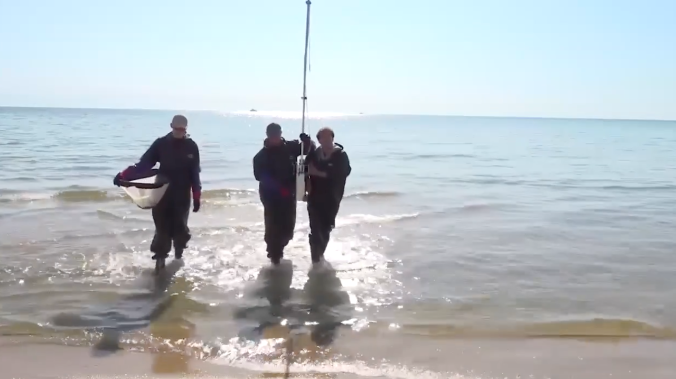 Учёные изучают скорость восстановления дна в Анапе