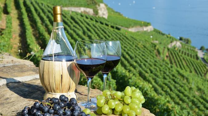 Поставки европейского вина в РФ за август-октябрь выросли на 40%