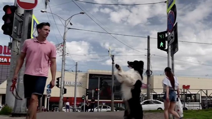 Собака из Краснодара стала звездой соцсетей