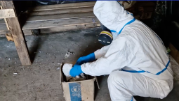 Медведев: на Украине производили компоненты биологического оружия