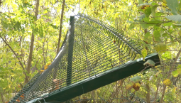 В Ушаковой балке неизвестные устанавливают забор