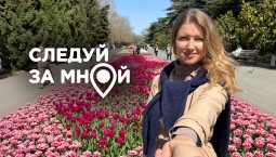 Весна в Севастополе: город у моря утопает в цветах