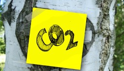 Ученые с помощью бактерий смогли переработать углерод в топливо