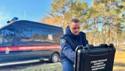 Развожаев: следователи умеют и готовы защищать