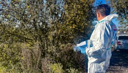 В Терновском муниципальном округе ввели карантин по бешенству