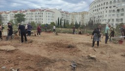 Археологические работы идут на Античном проспекте