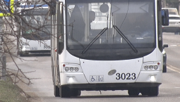 «Севэлектроавтотранс» вернулся в Байдарскую долину