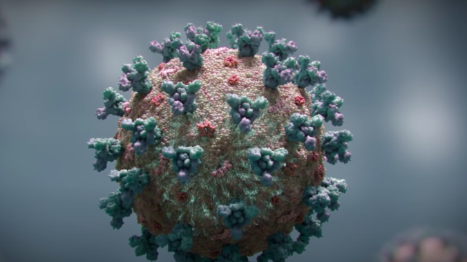 Российские ученые выявили молекулы способные подавлять все коронавирусы