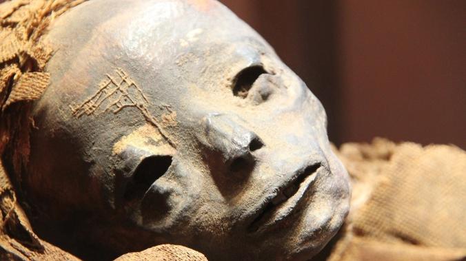 Ученые: древняя египтянка умерла от рака носоглотки