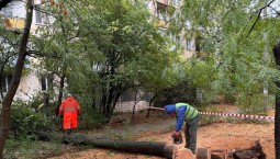 Службы получили свыше 30 обращений из-за непогоды