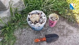 Следы мазута обнаружены на пляжах Севастополя