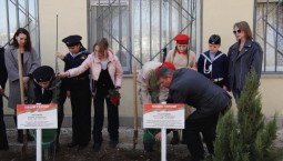 Аллею героев заложили в севастопольской школе №32