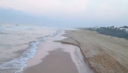 Новых выбросов мазута на побережье Чёрного моря нет