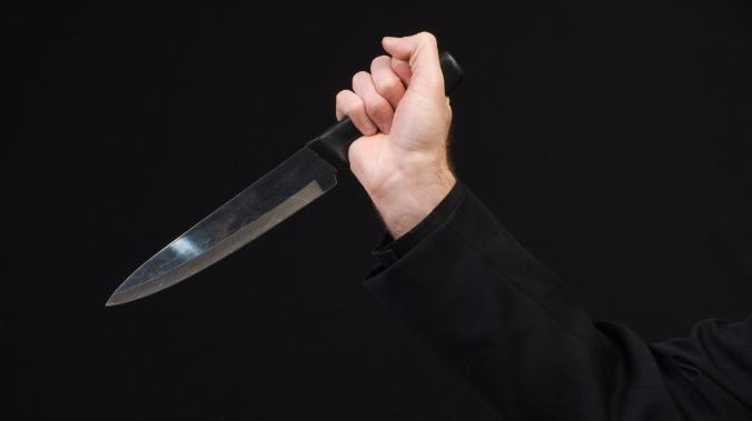 Мужчине грозит пожизненный срок за тройное убийство при защите семьи