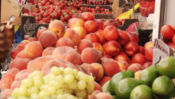 Из Армении ограничен ввоз подкарантинной продукции