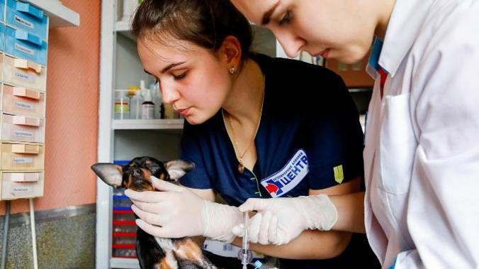 Крым получит партию вакцины от ковида для животных