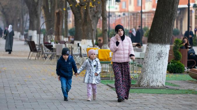 Эксперты назвали лучшими по демографии регионами Чечню, Туву и Ингушетию