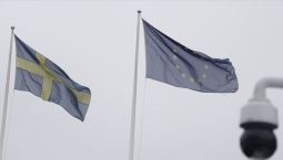 Марков: включение Швеции в НАТО – ослабление Запада