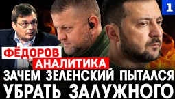 Фёдоров: зачем Зеленский пытался убрать Залужного