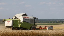 В России прогнозируют рекордный урожай зерновых в 145 млн тонн